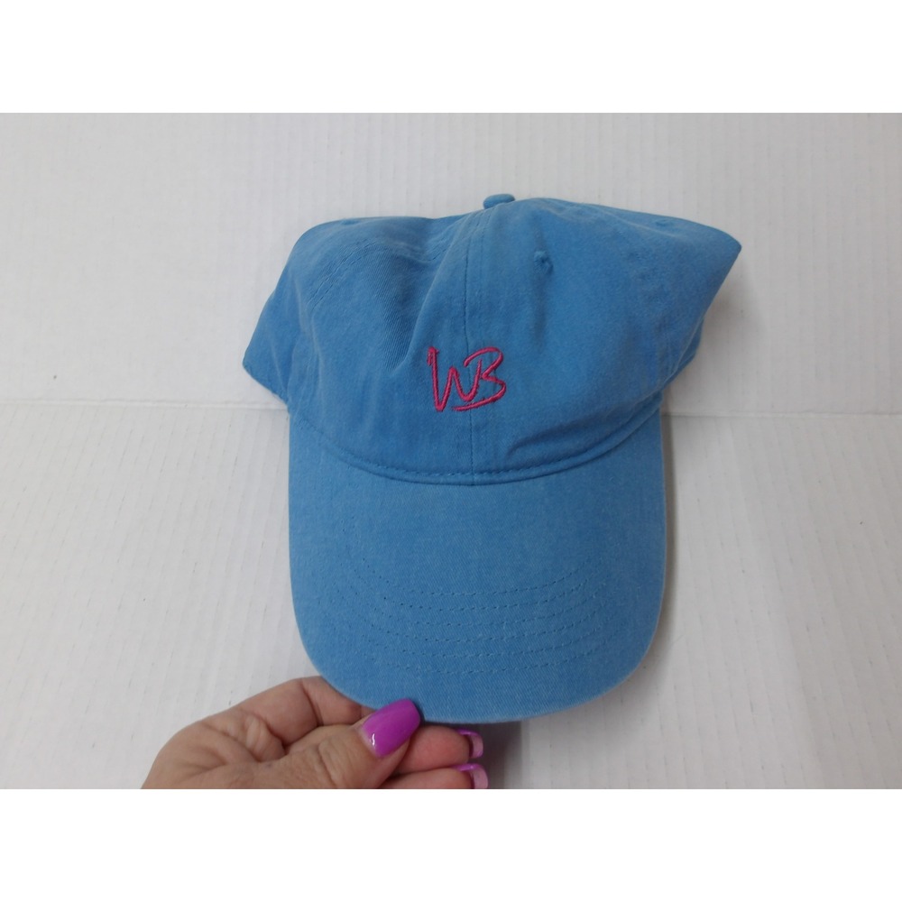 Warner Bros WB Logo Blue Baseball‎ Cap Hat Pink Embroidered Adjustable /#26499